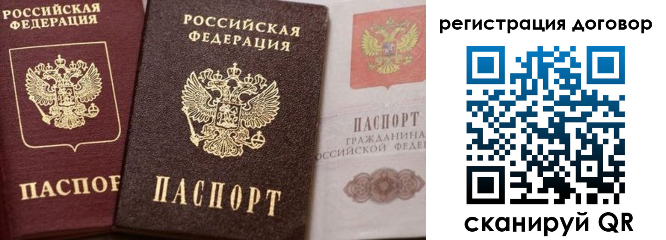 прописка 2025 в Снежногорске